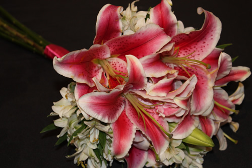 oriental lilies